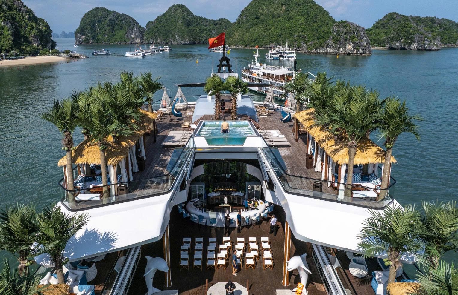[6 STAR] DOLPHIN HA LONG BAY DAY CRUISE